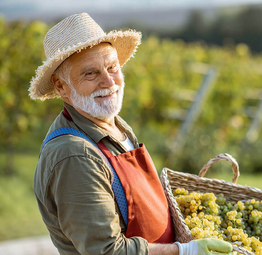 home04-bg-02 home04-bg-02